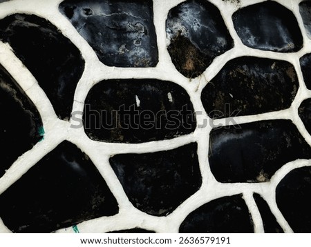 
“Abstract Stone Wall Texture with Organic Pattern and Natural Imperfections”