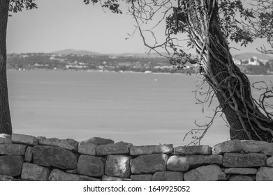 stone wall with a tree trunk on bolsena lake, Italy. B&W