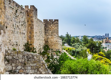 The Stone Walls Of Jerusalem Sprouted In Tufts Of Grass. Dizzy Walk On The Walls Of Jerusalem. Eternal Jerusalem. The Concept Of Historical And Ethnographic Tourism