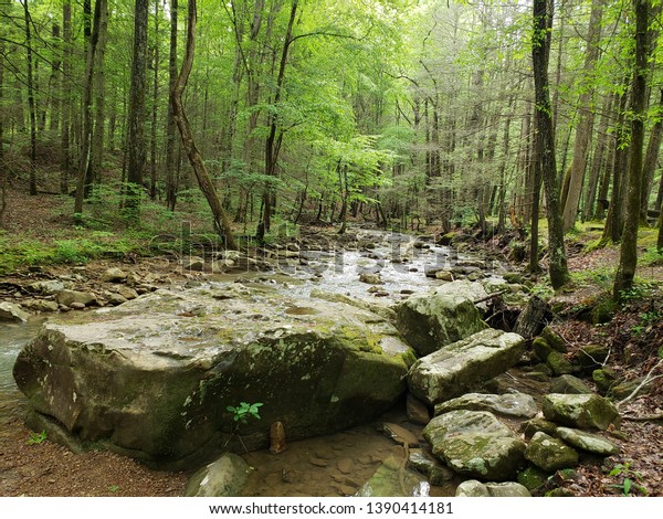Stone and water in the forest.\
Picture taken at Frozen Head State Park in Tennessee in May\
2019.