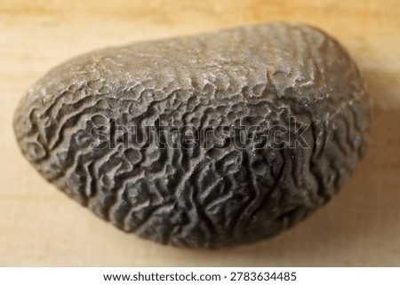 A STONE WITH WRINKLED SURFACE