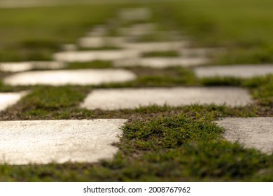 Stoned pathway in a lush green lawn - Powered by Shutterstock