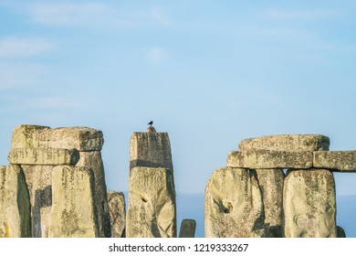 Stonehenge With Bird On Top In England