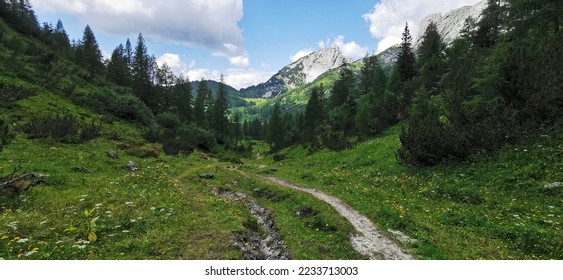 stonepath in the green mountainforest