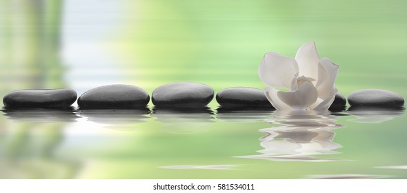 stones isolated on water