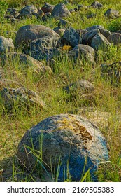 Stones Of Jurmala Beach, Recreation In Nature.