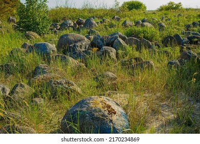 Stones Of Jurmala Beach, Recreation In Nature.