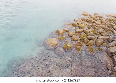 Stones and Moss in the Seashore