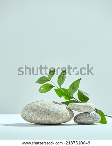 Stones pedestal, green leaves for eco friendly spa cosmetics demonstration. Empty podium for natural cosmetic product