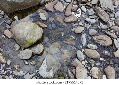 Stones In The River (Afon Llugwy), Snowdonia National Park, Wales UK 2022