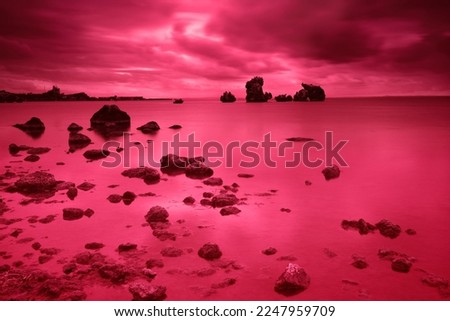 Stones at the seashore at night in viva magenta trendy color