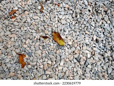 Stones texture and dried leaves - Shutterstock ID 2230619779