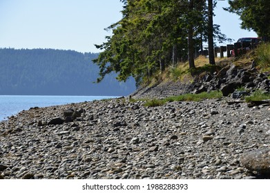 Stony Beach At The Puget Sound On Olympic Peninsula, Washington