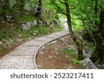 Stony hiking trail surrounded by nature, leading to the famous Vikos Gorge in Eprius in Greece 