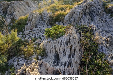 Stony Porous Soil With Sandstone Stones. Adriatic.