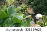 Stony stream