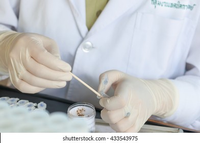 fecalysis