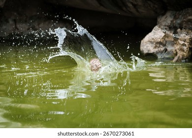 Stop action, Brown monkey or Macaca monkey is enjoy relax play in water to cool off alone. It's drowning and tries to jump out of water surface, only its head is showing, splash in a spray of all wet.
