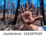 Stop arson, a man with black hands in the forest fire, burned forest, climate change
