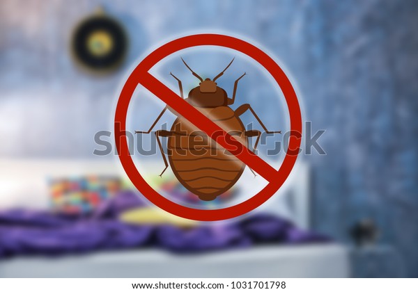 Stop Bug Sign Clean Bed Room Stock Photo Edit Now 1031701798