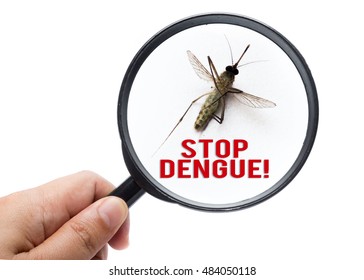 Stop Dengue!, health conceptual. Zika Virus spreads by aedes mosquito.