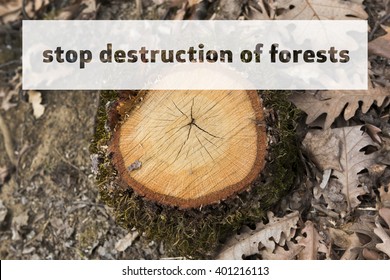 Stop Destruction of Forests
