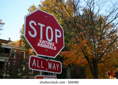Stop Eating Animals