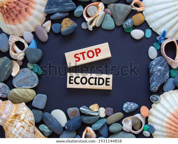 Stop ecocide symbol.\
Wooden blocks with words stop ecocide. Seashell and sea stones.\
Beautiful grey background, copy space. Business, ecological and\
stop ecocide concept.