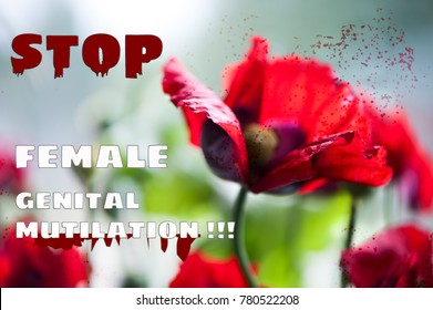  Stop Female Circumcision,  Genital Mutilation 