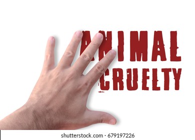 Stop Hand Against Animal Cruelty White Background 