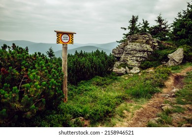 A Stop Sign In A Green Field Next To A Trail