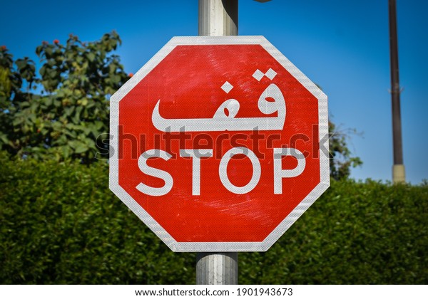 Stop Sign Greenery Behind Stock Photo 1901943673 | Shutterstock