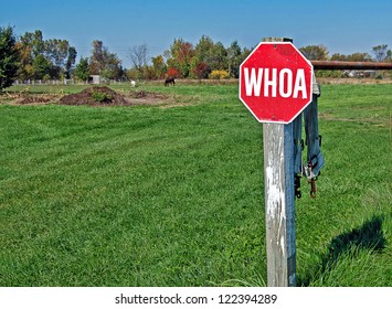 Stop Sign In Horse Pasture