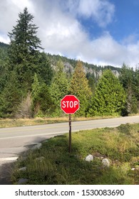 Stop Sign At Mount Rainier National Park