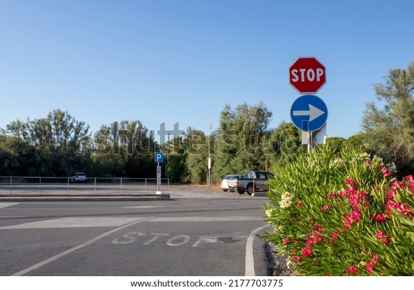 Stop sign on the road.\
Stop sign on the prairie. Road junction, stop word. Stop markings\
on the street.