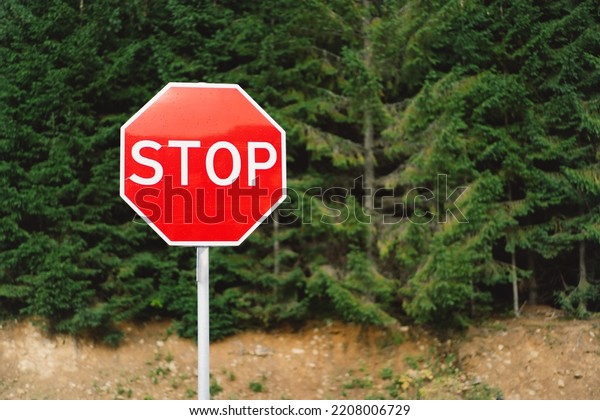 Stop\
sign. Traffic sign. STOP sign on pole near the\
road.