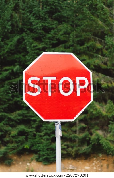 Stop
sign. Traffic sign. STOP sign on pole near the
road.