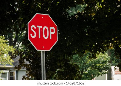 Stop Sign and Trees Background