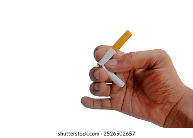 Stop smoking, quit smoking or no smoking cigarettes. Woman holding broken cigarette in hands. Woman refusing cigarettes and lung health concept. - Powered by Shutterstock