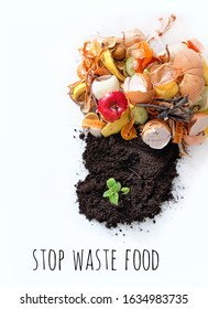 Stop Waste Food. Compost From Fruits, Vegetable Scraps And Plant Sprout In Ground. Food Waste For Recycling. Environmentally Responsible Behavior Concept.