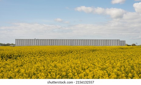 Storage building for the for the Royal Danish Library and National Museum in a yellow rapeseed field at Vinge, Denmark, May 14, 2022