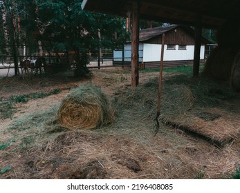 Storage Of Dry Hay Winter Pet Food