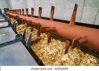 Storage Of Wood Chips