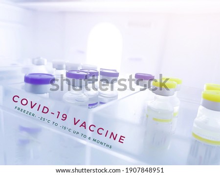 Store Box set covid-19 coronavirus vaccine and temperature log for frozen vaccine storage.concept cold chain vaccination.illustration non selective focus.