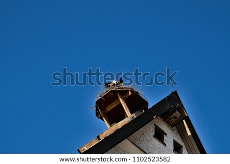 Similar – Image, Stock Photo cementerio Cloudless sky