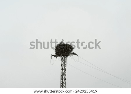 a stork makes its nest on an electric tower
