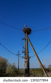 stork in the nest against the blue sky - Shutterstock ID 1395077894