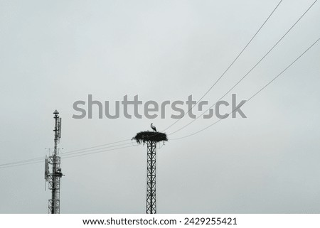 a stork in its nest on an electricity tower next to a telephone tower