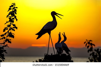 Stork Nest Silhouette At Sunset