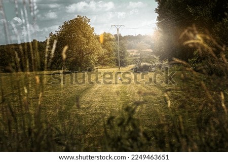 Similar – Country II Nature